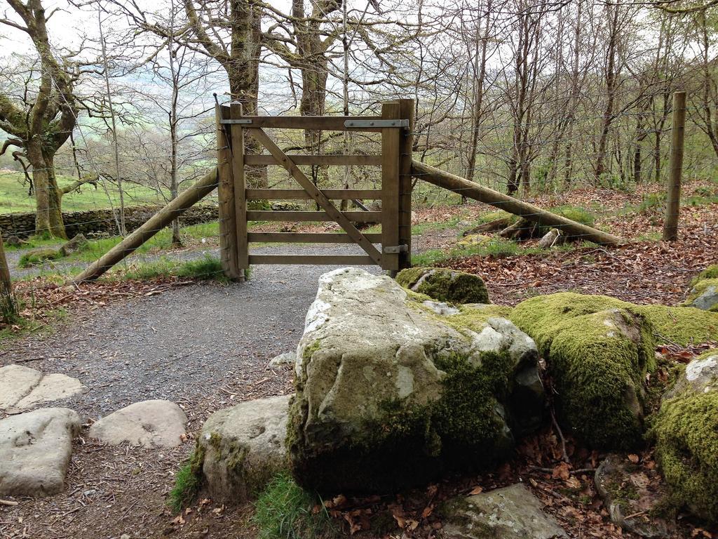 Snowdonia Snug - Studio Style Accommodation Dolgellau Exterior foto